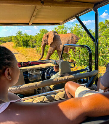 Game Drives